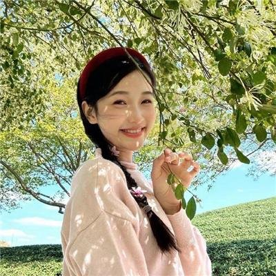 终结杉计划